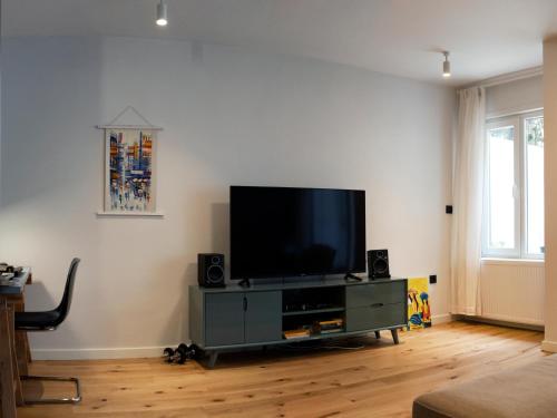 TV a/nebo společenská místnost v ubytování Design Apartment with Garden