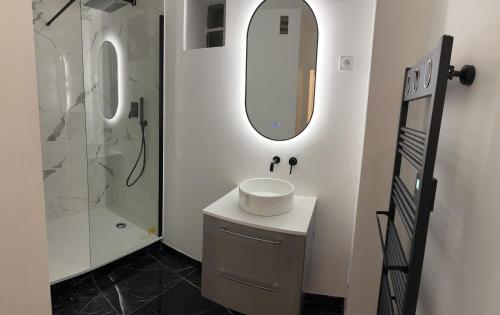 een badkamer met een wastafel en een spiegel en een douche bij Superbe F4 hyper centre/ parc pasteur in Orléans