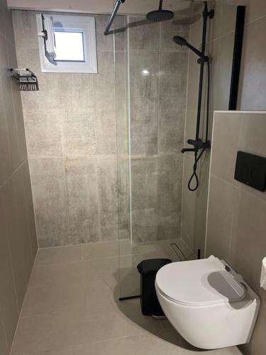 a bathroom with a toilet and a glass shower at Harma Apartment in Léntas