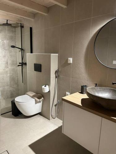 a bathroom with a sink and a toilet and a mirror at Harma Apartment in Léntas