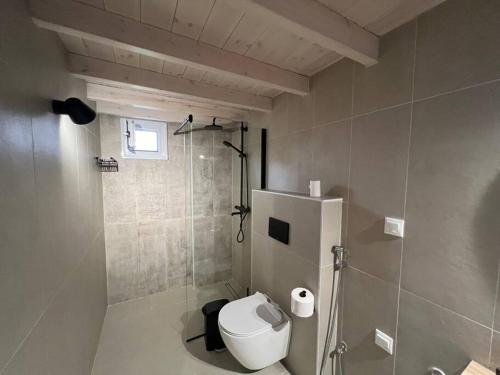 a small bathroom with a toilet and a shower at Harma Apartment in Léntas