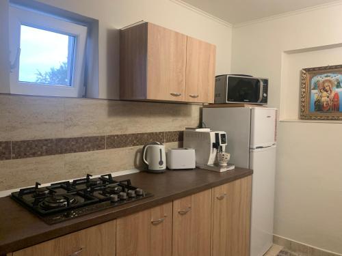 a kitchen with a stove top and a refrigerator at CASA LUI MOȘU in Alba Iulia