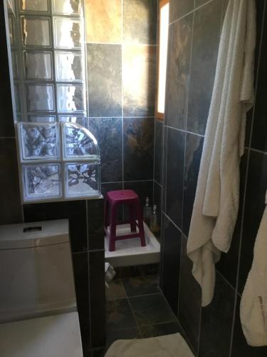La salle de bains est pourvue de toilettes et d'un tabouret rose. dans l'établissement Villa La Cerisaie, à Céret
