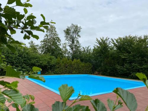 una piscina azul en un patio con árboles en Glamping-tent 'Yatra Nirvana' met privé keuken en regendouche, en Grou