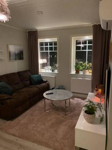 a living room with a couch and a coffee table at Northern Lights exclusive house by the river in Boden