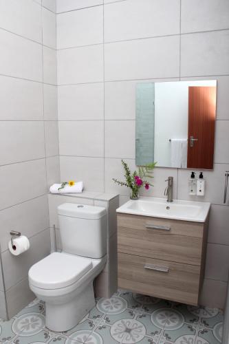 a bathroom with a toilet and a sink and a mirror at Fairy Knowe Hotel in Wilderness