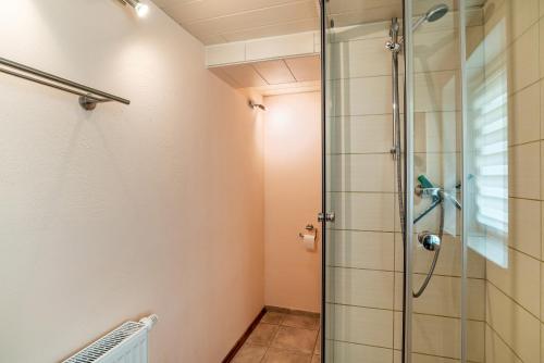 a shower in a bathroom with a glass shower stall at Ferienwohnung Blaues Haus in Ubstadt-Weiher
