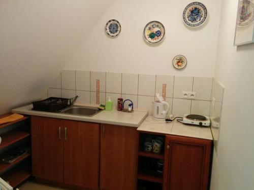 a kitchen with a sink and plates on the wall at Willa Marylka in Piwniczna