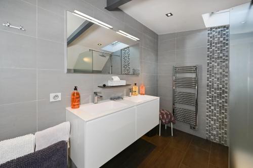 ein Badezimmer mit einem weißen Waschbecken und einem Spiegel in der Unterkunft Le Loft Oasis Prestige - Piscine et jacuzzi in Pringy