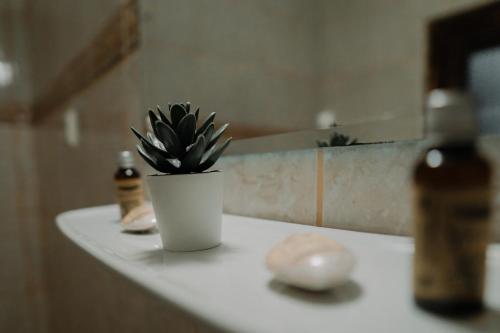 a potted plant sitting on a counter in a bathroom at Hotel Casa Pelerinul in Durau