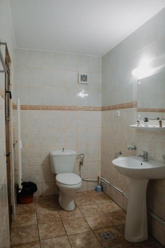 a bathroom with a toilet and a sink at Hotel Casa Pelerinul in Durau