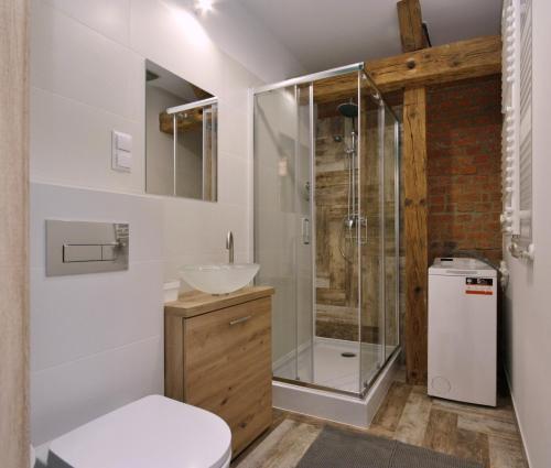 y baño con ducha, aseo y lavamanos. en Apartamenty na Starym Mieście en Gliwice