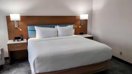 a large white bed in a hotel room at TRYP by Wyndham Tallahassee North I-10 Capital Circle in Tallahassee