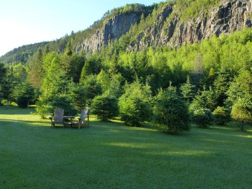 a park bench in a field with a mountain at B&B Les Deux Pignons in Petit-Saguenay
