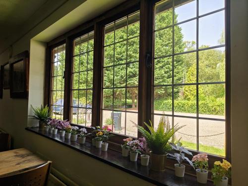 a window with potted plants on a ledge at Little Foxes Hotel & Gatwick Airport Parking in Crawley