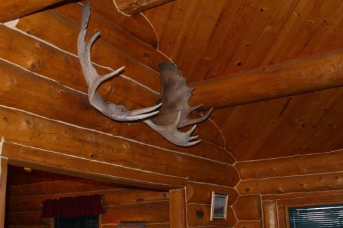 Imagen de la galería de Moose Cabin, en Anchor Point