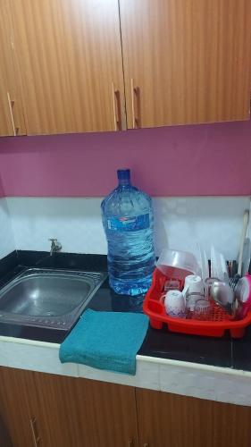 eine Küchentheke mit einer Spüle und einer Flasche Wasser in der Unterkunft Studio Bnb Thika Town in Thika