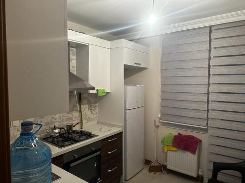 Il comprend une petite cuisine équipée d'un réfrigérateur et d'une cuisinière. dans l'établissement Kiralık Daire, à Istanbul