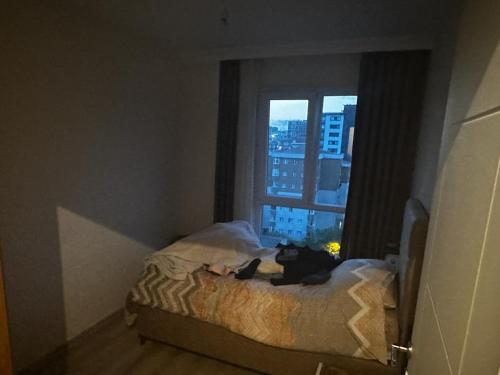 un chat assis sur un lit donnant sur une fenêtre dans l'établissement Kiralık Daire, à Istanbul