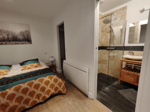 een slaapkamer met een bed, een douche en een wastafel bij Le Shala - 55m² + Jardin in Tabanac