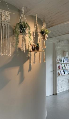 a room with potted plants on a wall at Hotel - B&B PassaDia in Zwevegem