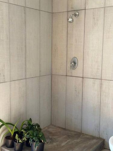 a shower with potted plants in a bathroom at Clarens Tranquil Mountain Villa in Clarens