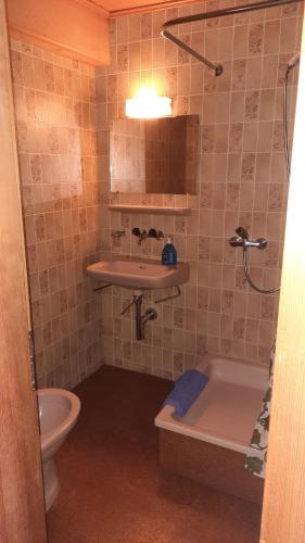 a bathroom with a sink and a toilet at Gasthof Freienhof in Hellsau