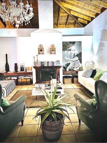 a living room with a potted plant in the middle at Kalufa Surf House in El Cuchillo