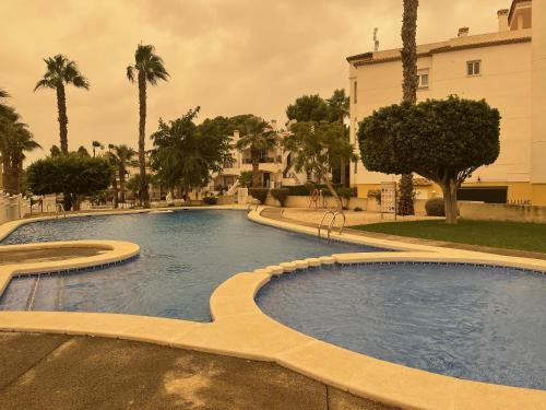 duży basen z palmami i budynek w obiekcie Villamartín PlazaGolf w mieście Villamartin