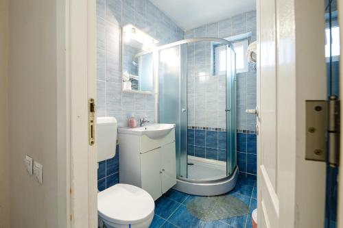 y baño de azulejos azules con aseo y ducha. en Pensiunea Bella, en Arad