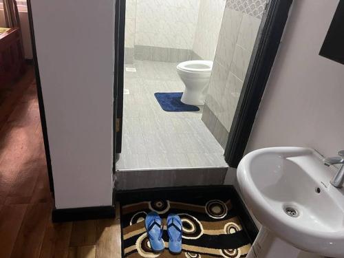 a bathroom with a shower with a toilet and a sink at Two Bedrooms Furnished Apartment in Nakuru in Nakuru
