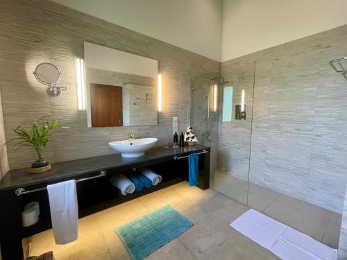 a bathroom with a sink and a shower at Khomba Lodge in Tangalle
