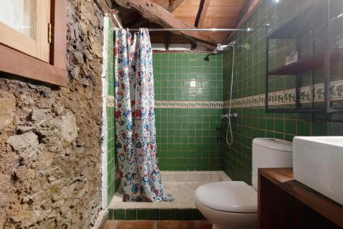 ein grün gefliestes Bad mit einem WC und einer Dusche in der Unterkunft Hesperia in Icod de los Vinos