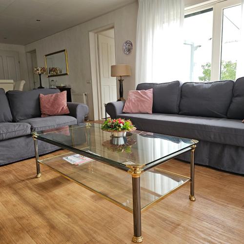 a living room with a couch and a glass table at Chalet Buutengeweun, met luxe JACUZZI en TONSAUNA in Sint Annaland