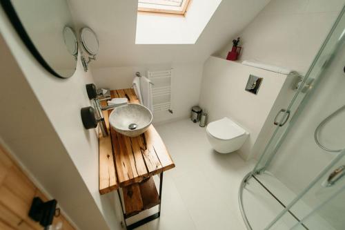 een badkamer met een wastafel, een toilet en een douche bij PurpleVague 