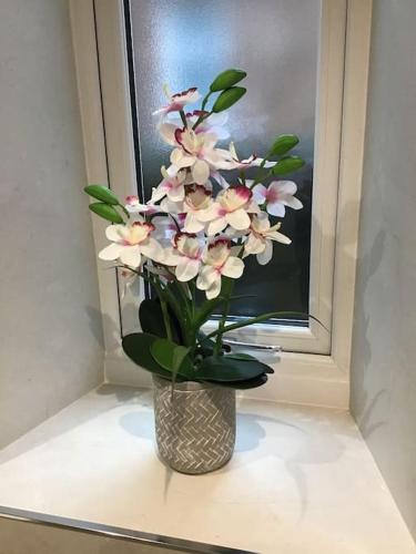 a vase with pink flowers sitting in a window at Spacious 2 Bedroom Flat in heart of Ballater in Ballater
