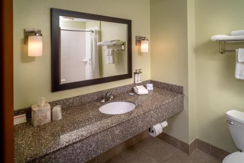 a bathroom with a sink and a mirror and a toilet at Holiday Inn Express & Suites Lebanon, an IHG Hotel in Lebanon