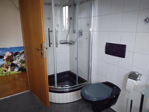 a bathroom with a shower and a blue toilet at Zuhause in Hofs ,Leutkirch im Allgäu in Leutkirch im Allgäu