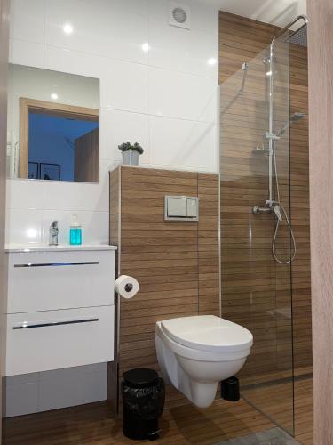 a bathroom with a toilet and a glass shower at Noclegi u Anny in Rzemień