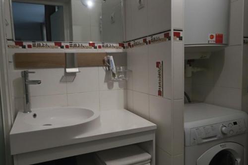 La salle de bains est pourvue d'un lavabo et d'un lave-linge. dans l'établissement Appartement Les Trois Renards-Tassin, à Tassin-la-Demi-Lune