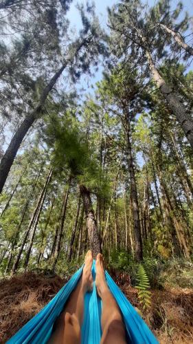 a person laying in a hammock in a forest at Bromo Dormitory in Bromo