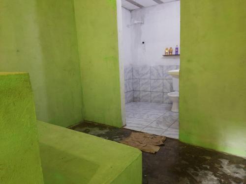 a green room with a toilet and a sink at EcoCamp TV Cristã Web in Cabo de Santo Agostinho