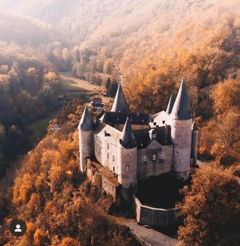 an aerial view of a castle in the woods at 2pas2meuse in Waulsort