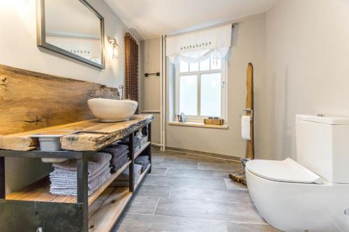 a bathroom with a sink and a toilet at Altes Fotohaus in Freyburg