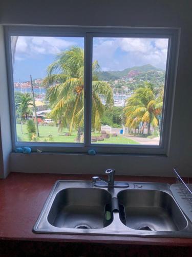 a kitchen sink in front of a window with palm trees at CasaCalypso Grenada in Belmont