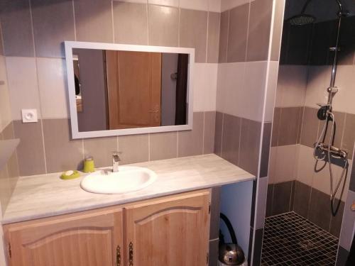 a bathroom with a sink and a mirror and a shower at Gîte M in Codognan