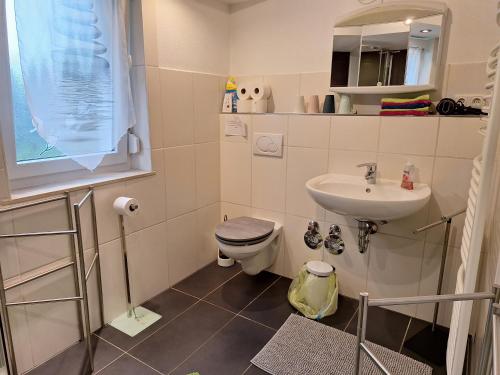 een badkamer met een toilet en een wastafel bij Schöni´s Zimmer in Abstatt