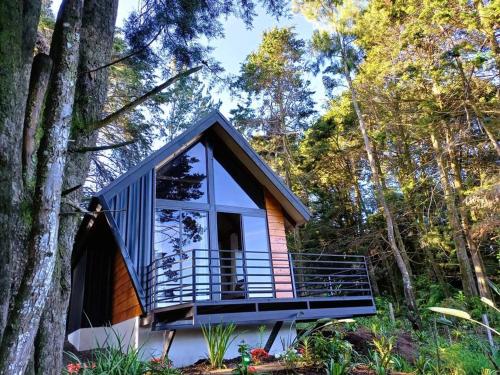 a tiny house in the woods with a large window at Les Chalets Costa Rica in Zarcero