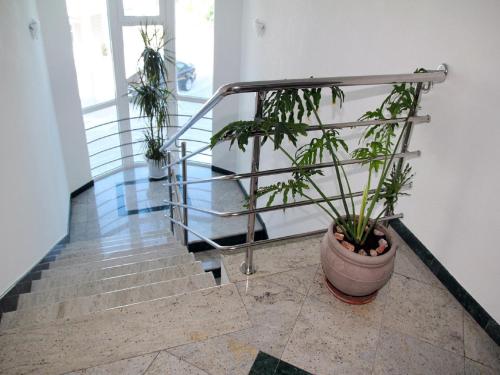 Gallery image of Apartments Villa Katarina in Makarska