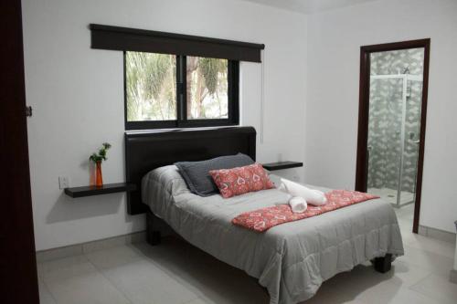 1 dormitorio con 1 cama y ventana en Hermoso departamento con una excelente ubicación, en Guadalajara